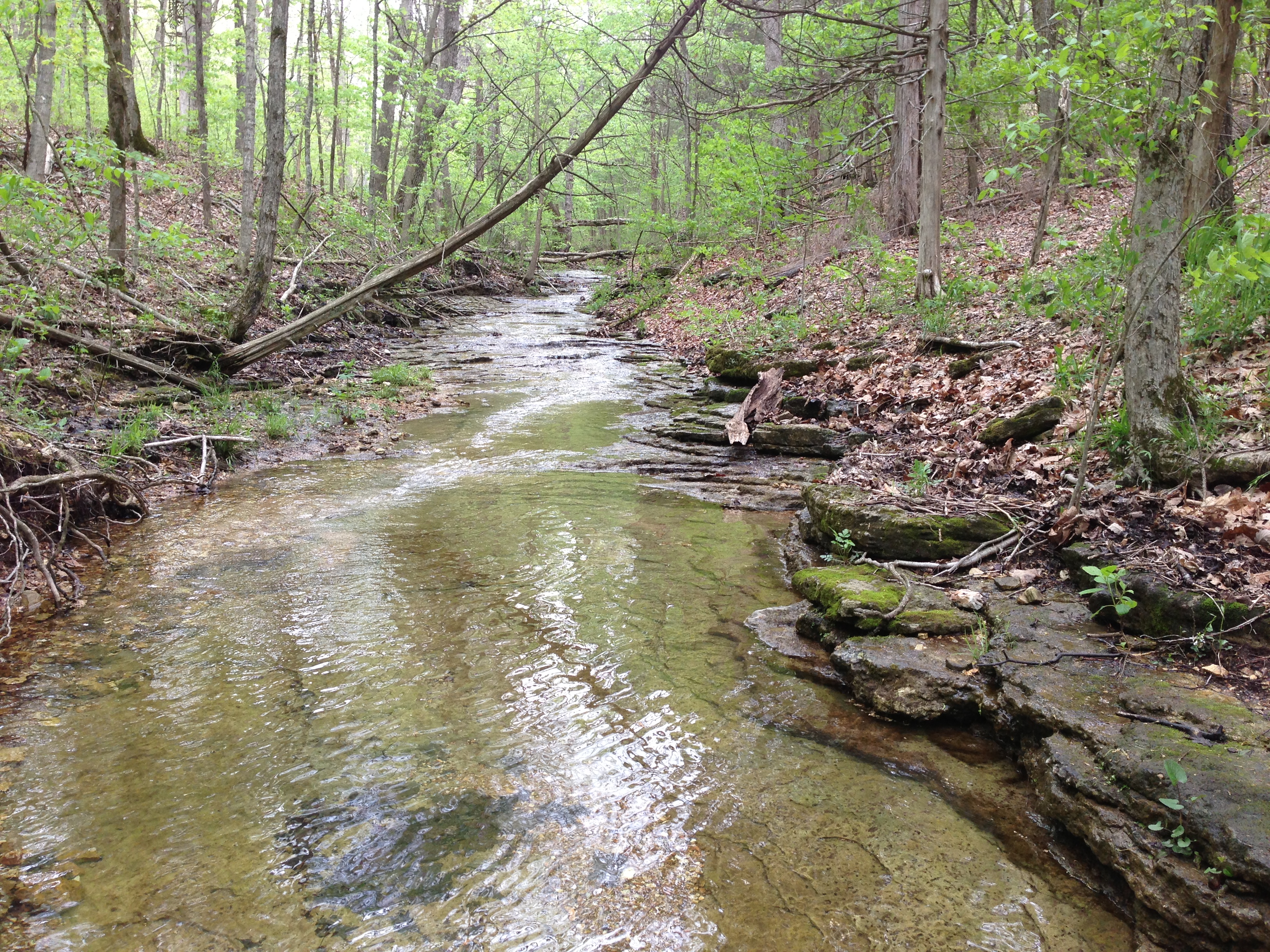 Land protected by conservation easement through ORLT, Missouri Land Trust