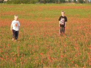 Children play in an ORLT Land Trust protected field