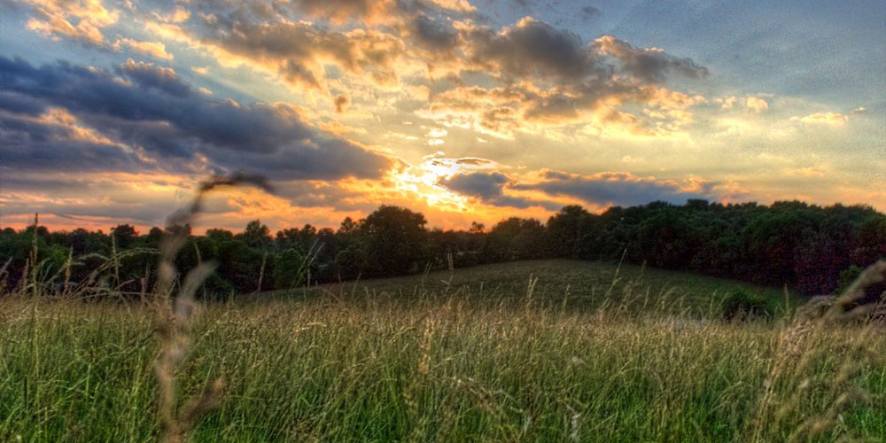 Sarcoxie Update August Newsletter Ozark Land Trust