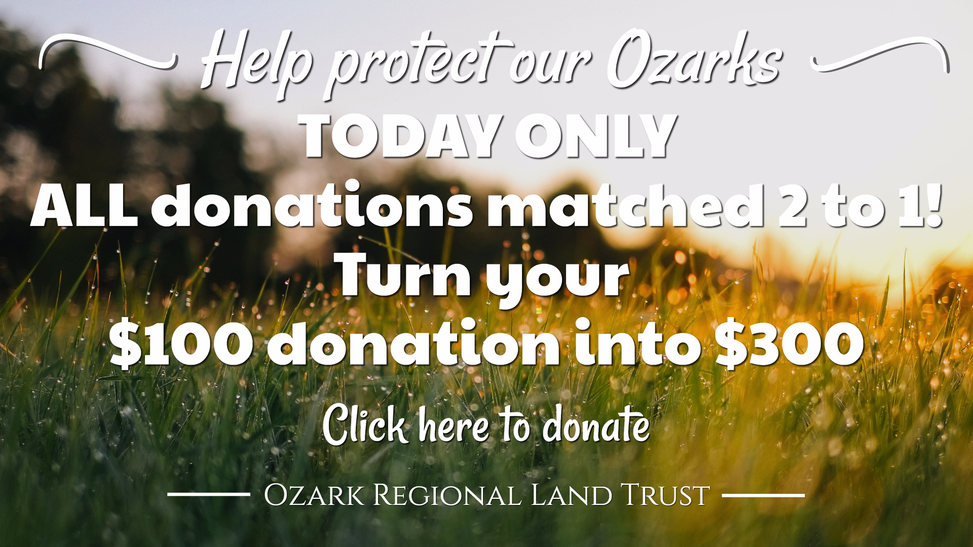 ORLT Give Ozarks 2017 Home Page CTA