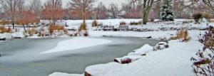 Frozen Pond