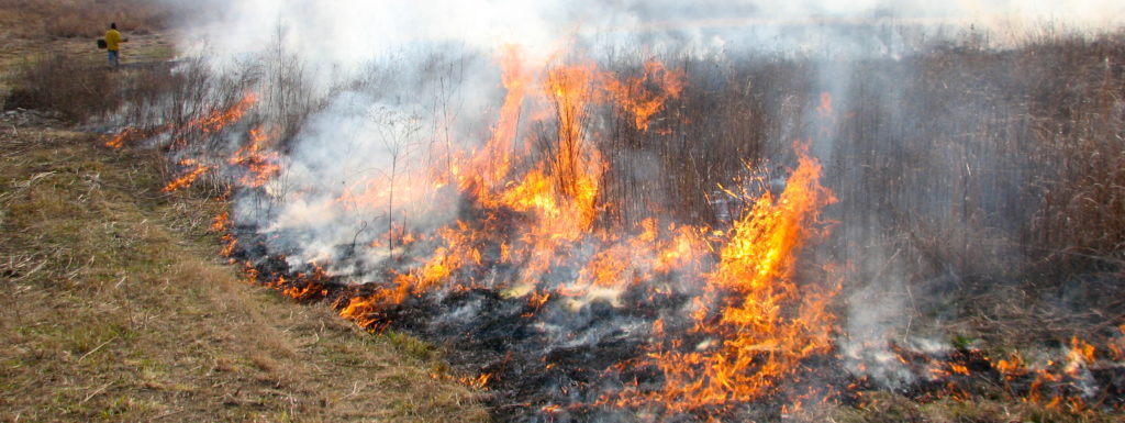 An Ozark prairie ablaze with orange flames