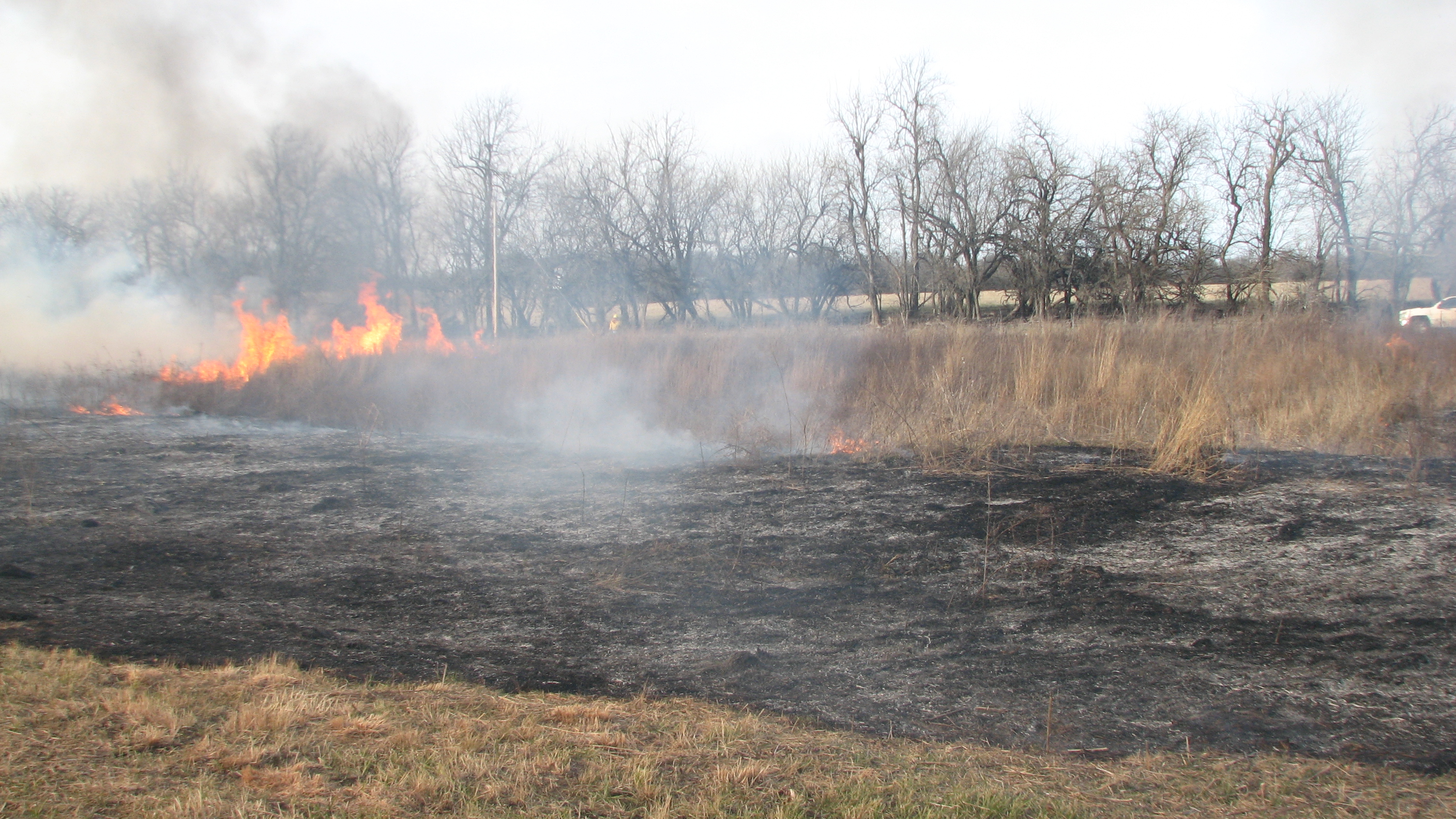 Scorched earth after an Ozark prairie is set ablaze
