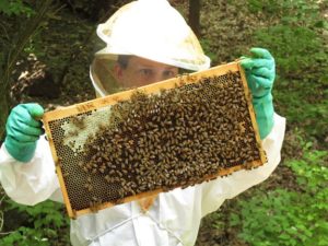 saint abigail of beekeeping