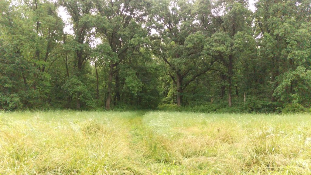 Murphy Property Ozark Land Trust