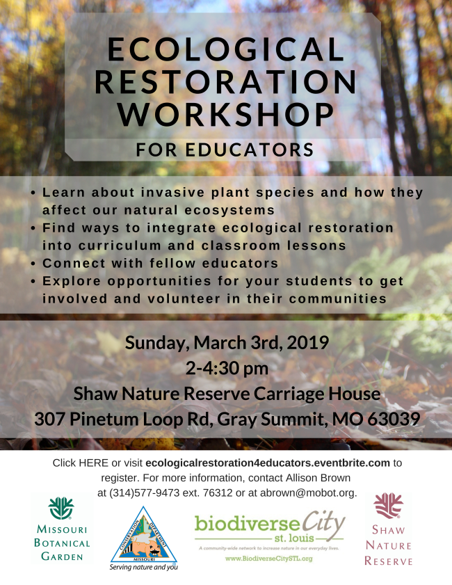 Restoration Workshop for Educators