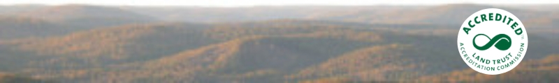 Banner - ORLT