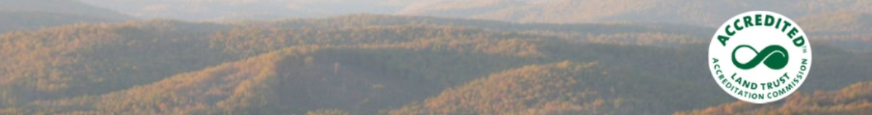 ORLT Banner Final (1)