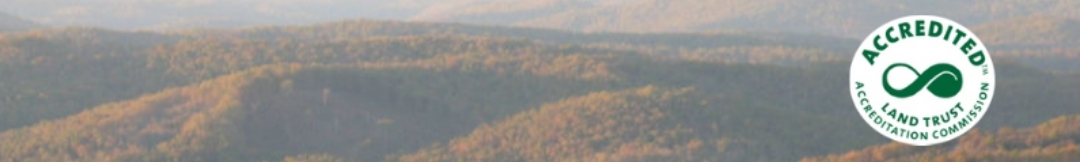 ORLT Banner Final (2)