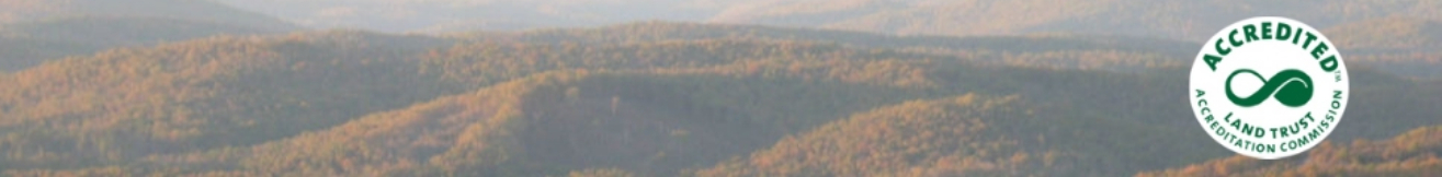 ORLT Banner Final