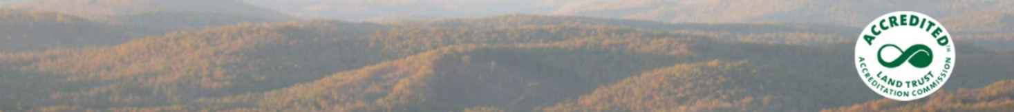 ORLT Banner