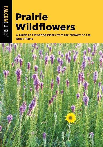 Prairie Wildflowers Don Kurz