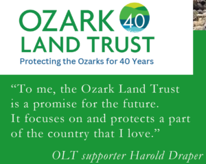 quote from OLT supporter