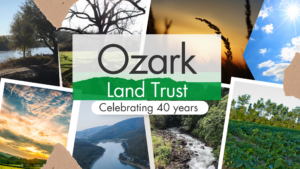 image of trees, river and the sky with Ozark Land Trust celebrating 40 years